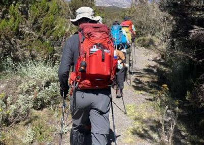 Hiking to Kilimanjaro