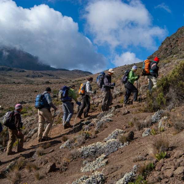 Kusudi La Kilimanjaro Climb On Route