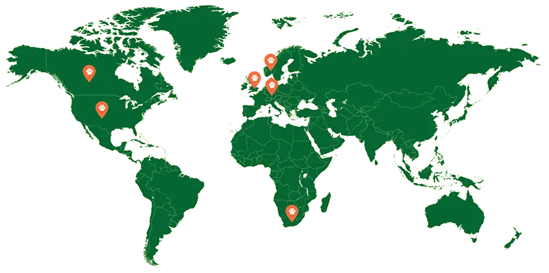 World Map World Map