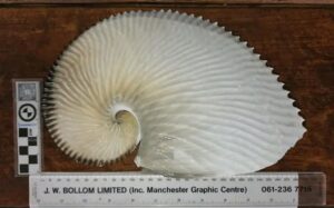 Perlemoen Trail: South African Coastal Adventure