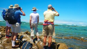 The untamed beauty of Perlemoen