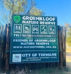 Explore Groenkloof Nature Reserve: Your Ultimate Nature Getaway