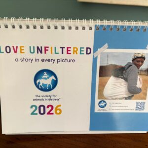 Animals in Distress 2026 Tent Calendar