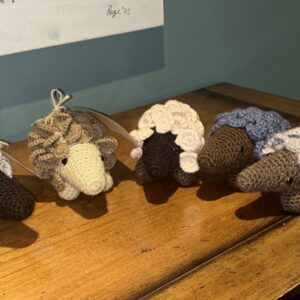 Support JHB Wildlife Vet Pangolin Rescue